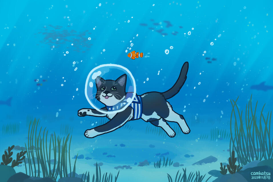 nemo cat swimming